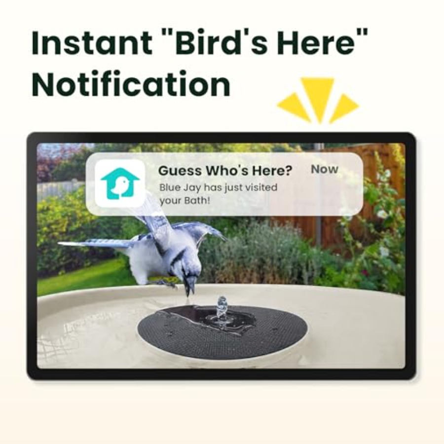Bird Watching Smart Bird Bath  - Watch Smartwatch incelemesi ve fiyatı