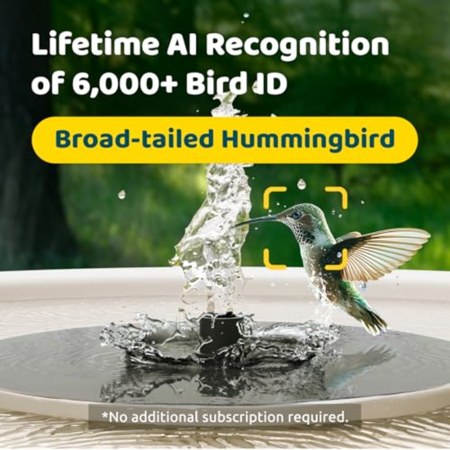 Bird Watching Smart Bird Bath  - Watch Smartwatch incelemesi ve fiyatı